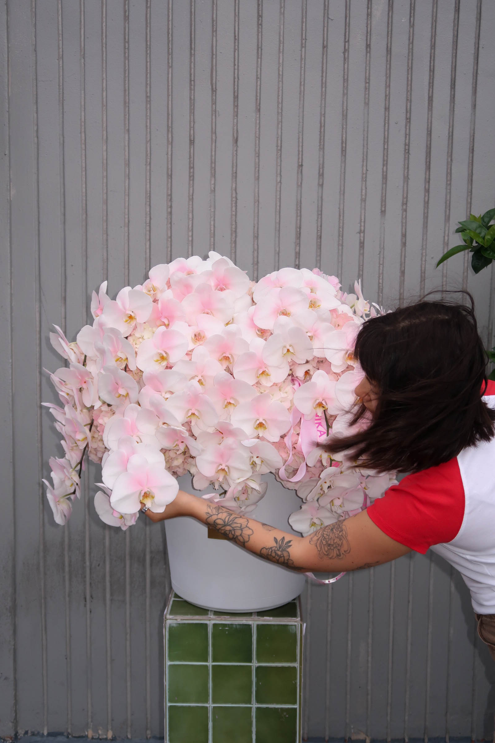 Flower Box “Everyone’s Type” — pink hydrangeas, orchids