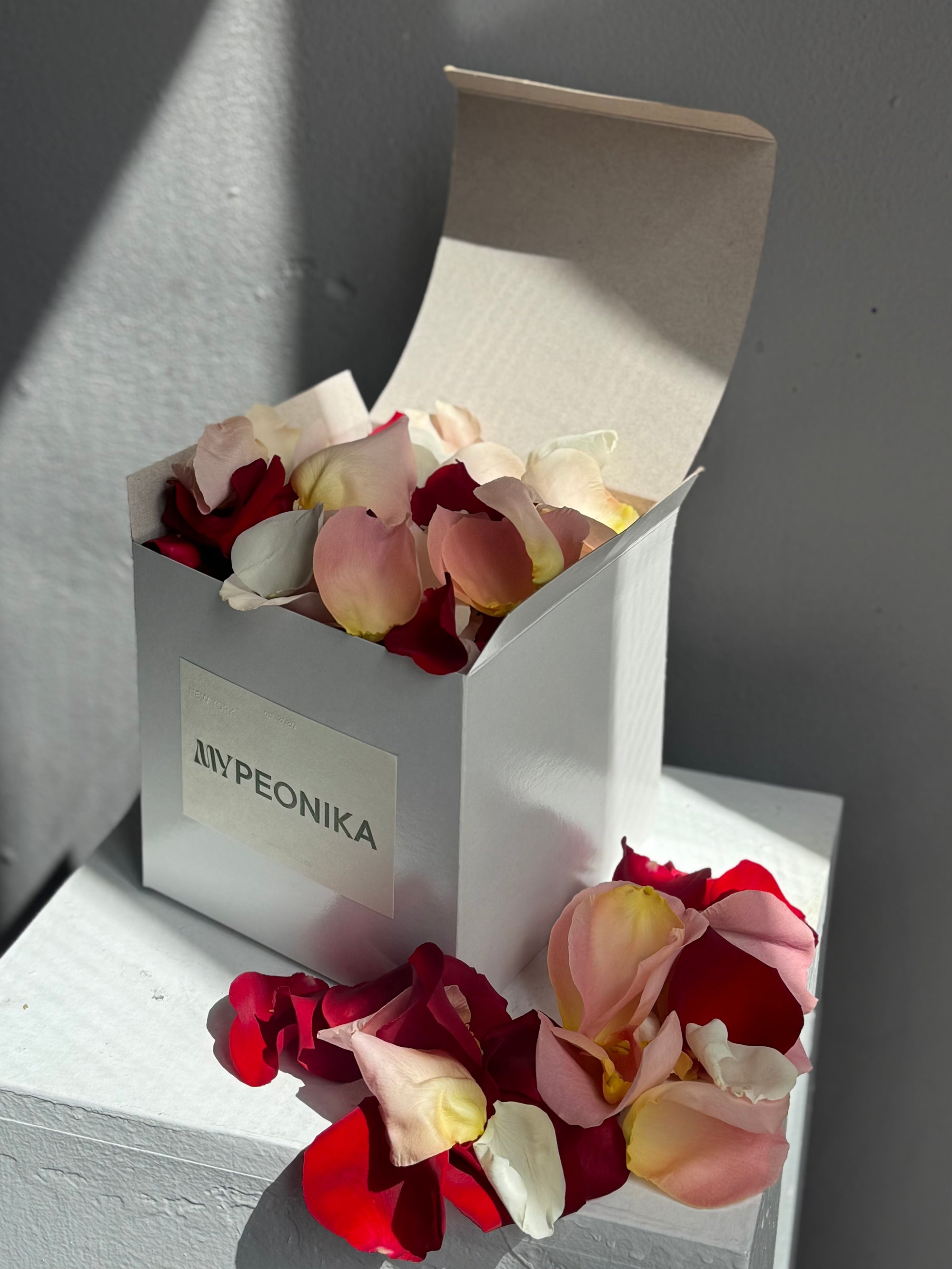 Rose Petals