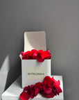 Rose Petals
