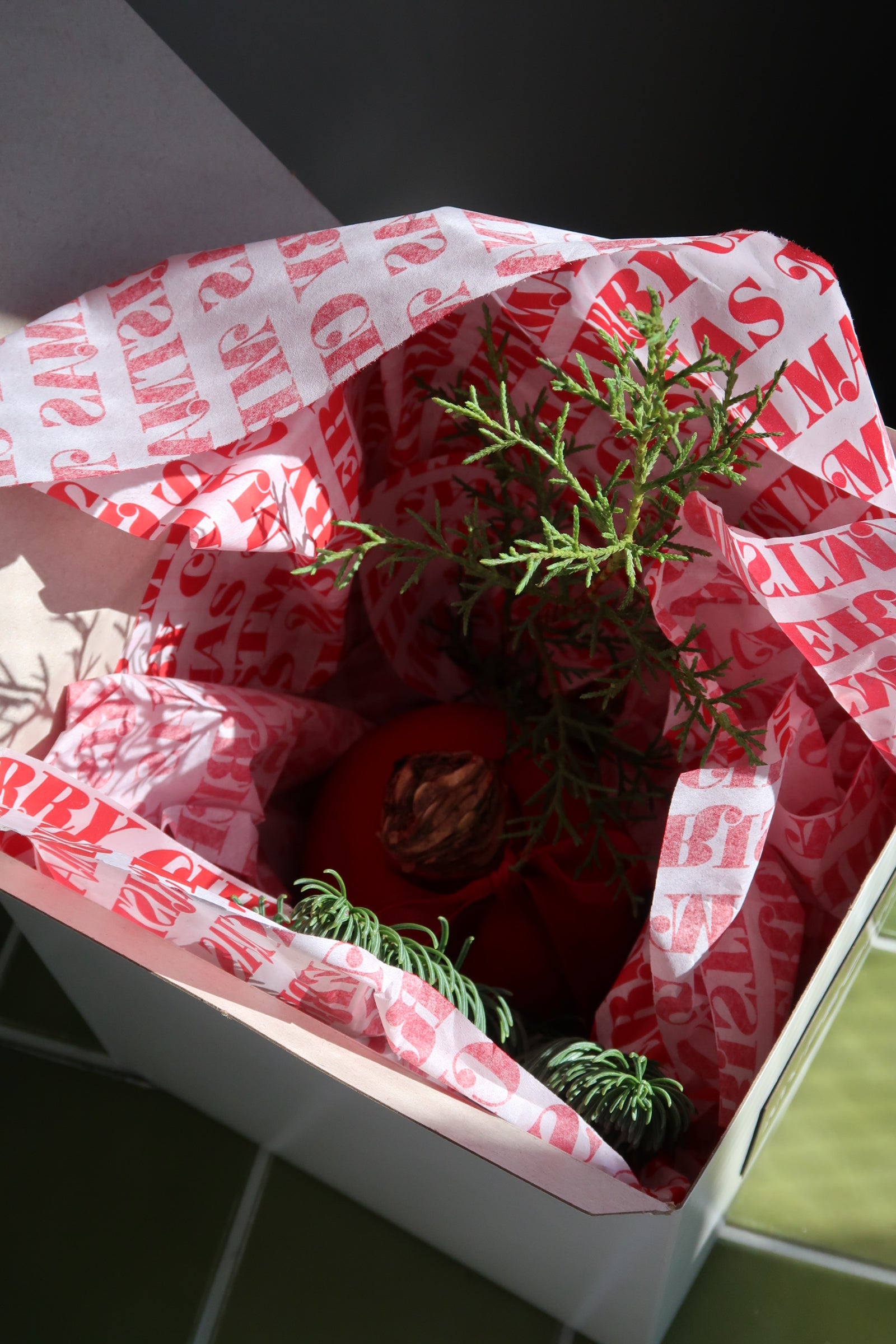 Amaryllis Wax Set of Three