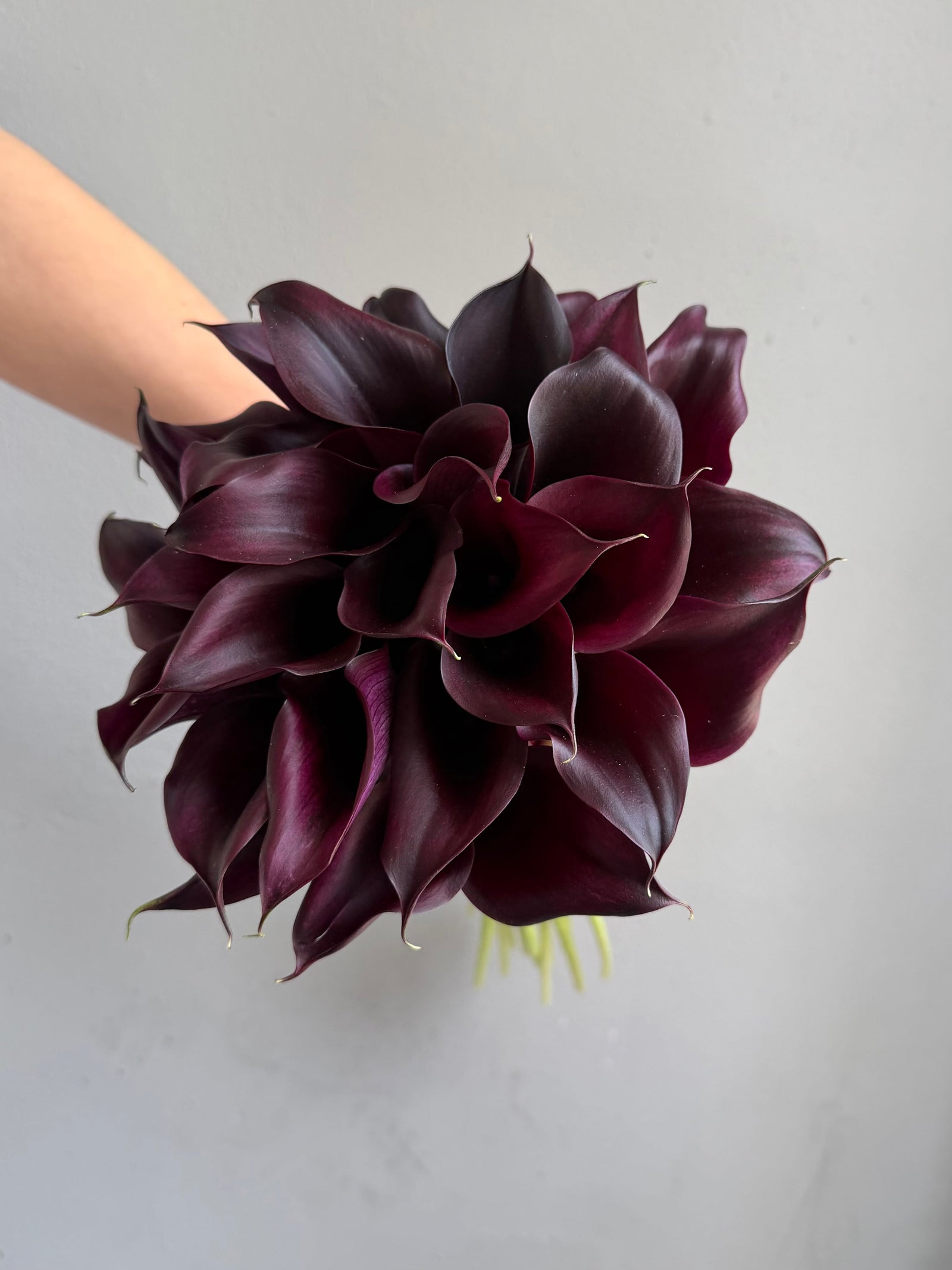 Bridal Bouquet “Dark Romance” — burgundy calla lilies