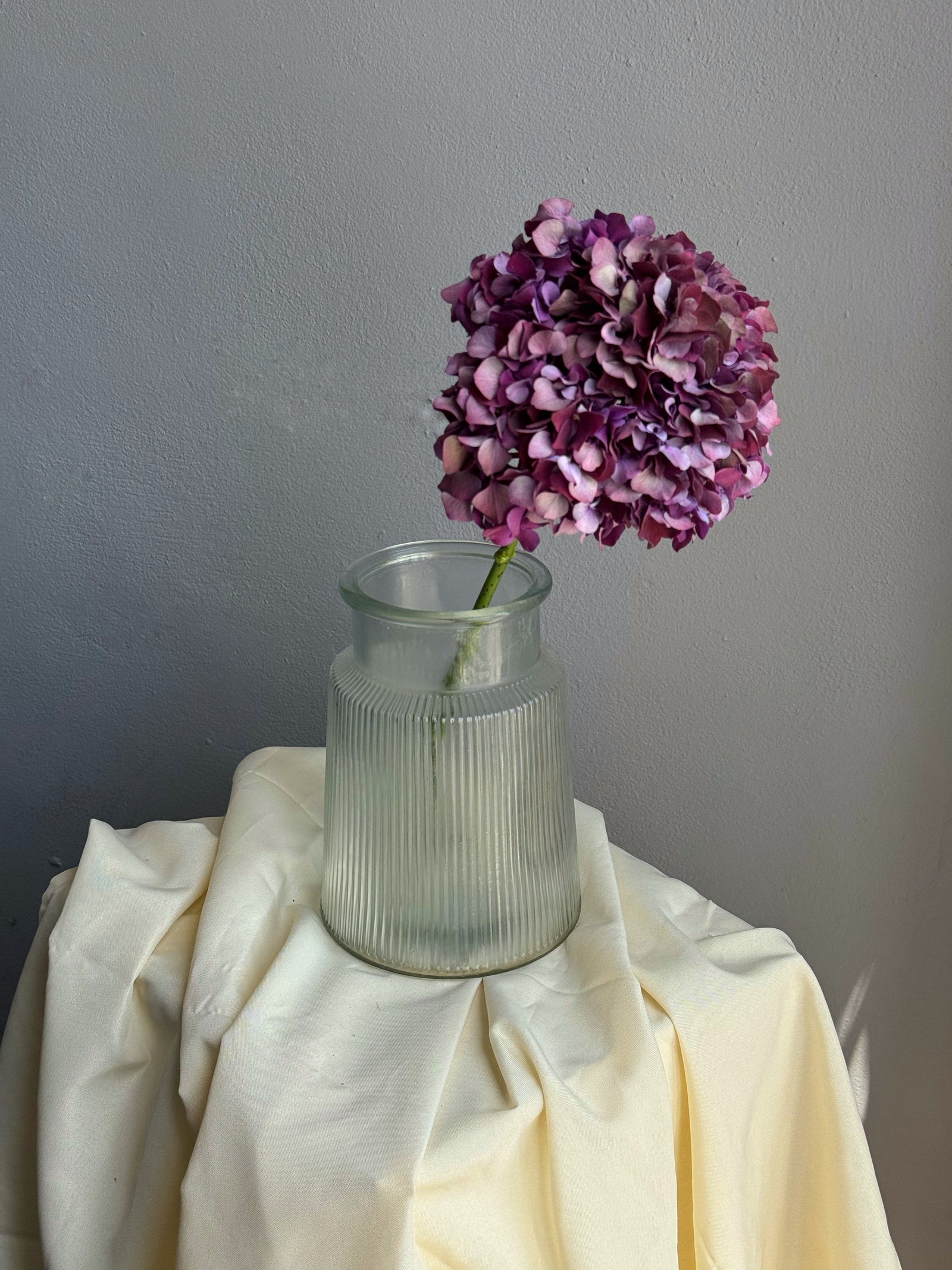 Ribbed Glass Vase