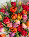 Bouquet "Petal Pop" - mixed of Holland tulips