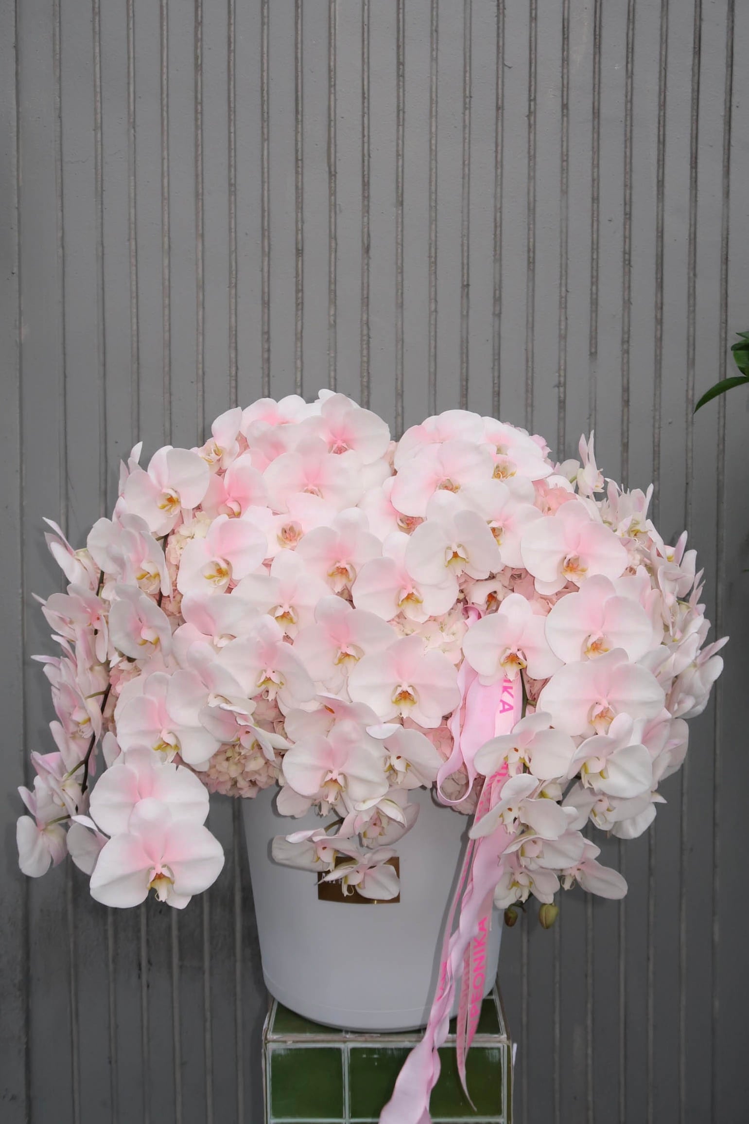 Flower Box “Everyone’s Type” — pink hydrangeas, orchids