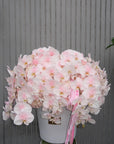 Flower Box “Everyone’s Type” — pink hydrangeas, orchids
