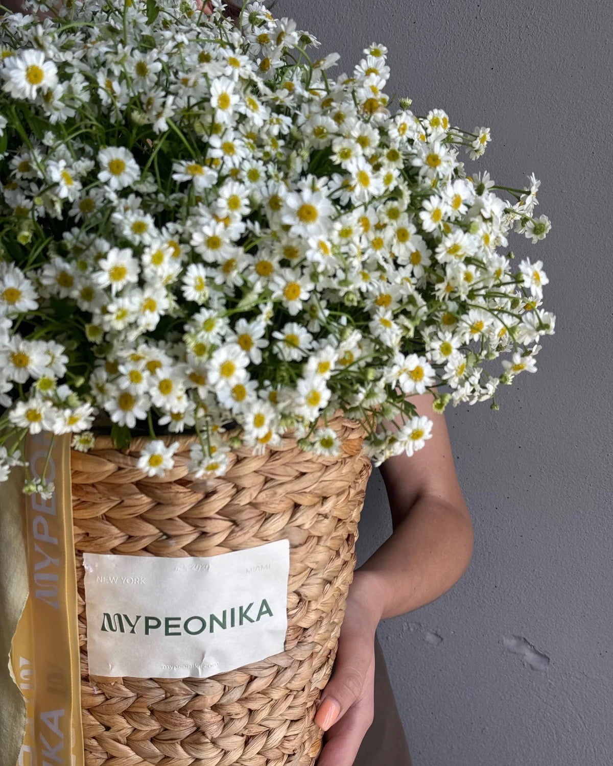 Basket with Daisies