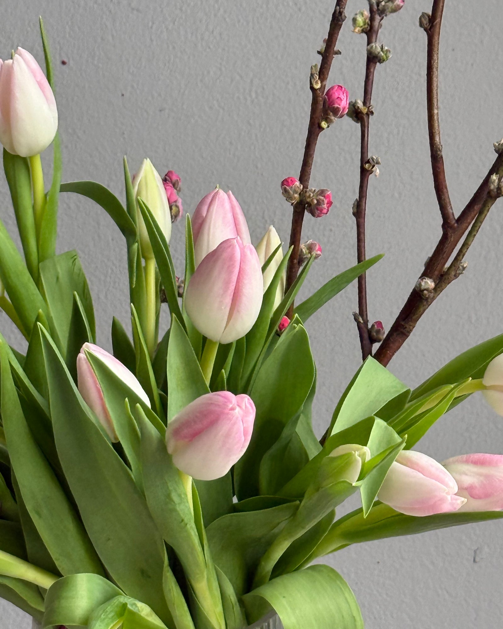 Bouquet in a Vase "Spring Me Up" - 21 tulips, apricot blossoms, vase