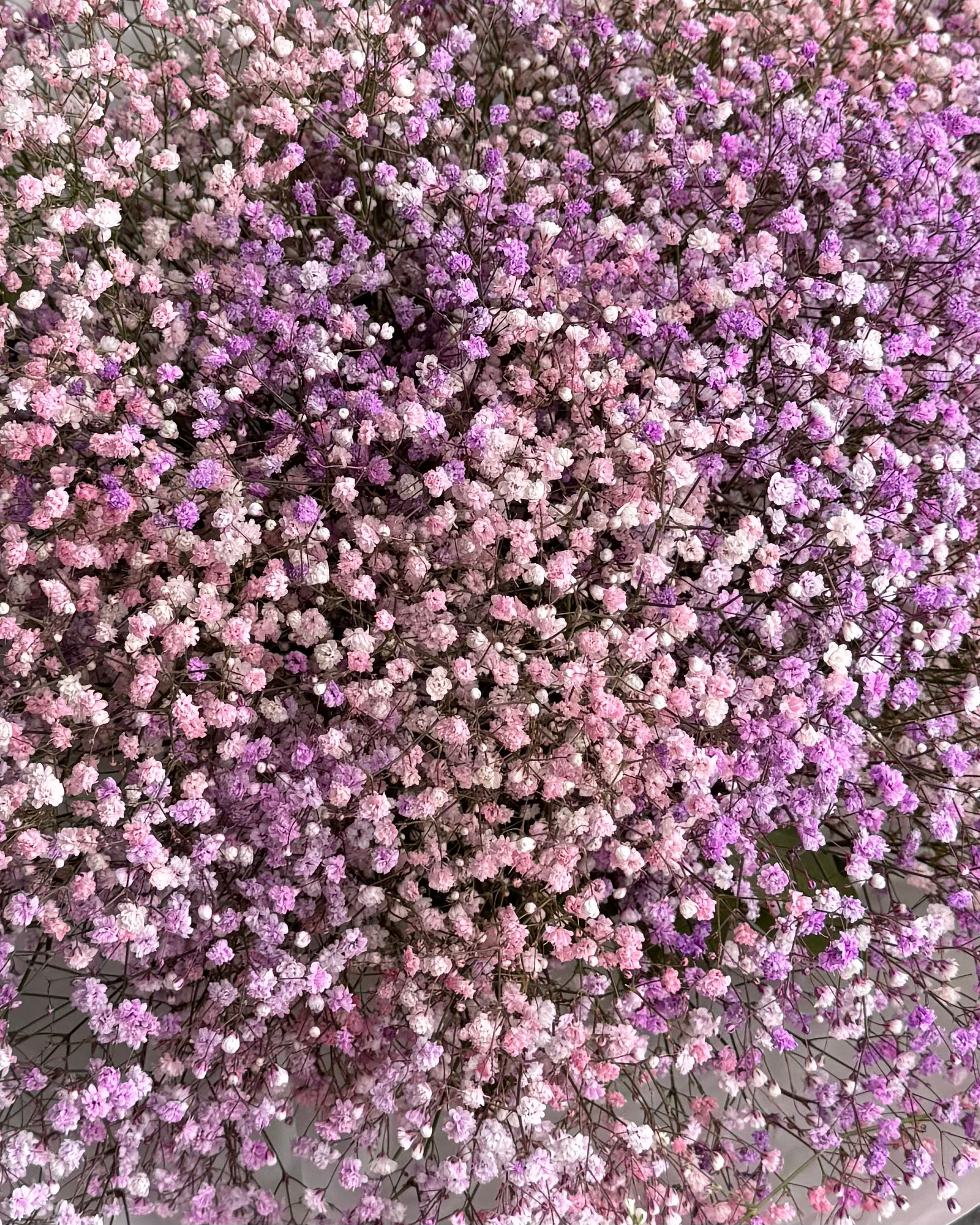 Bouquet &quot;Cotton Candy&quot; - Gypsophila