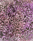 Bouquet "Cotton Candy" - Gypsophila