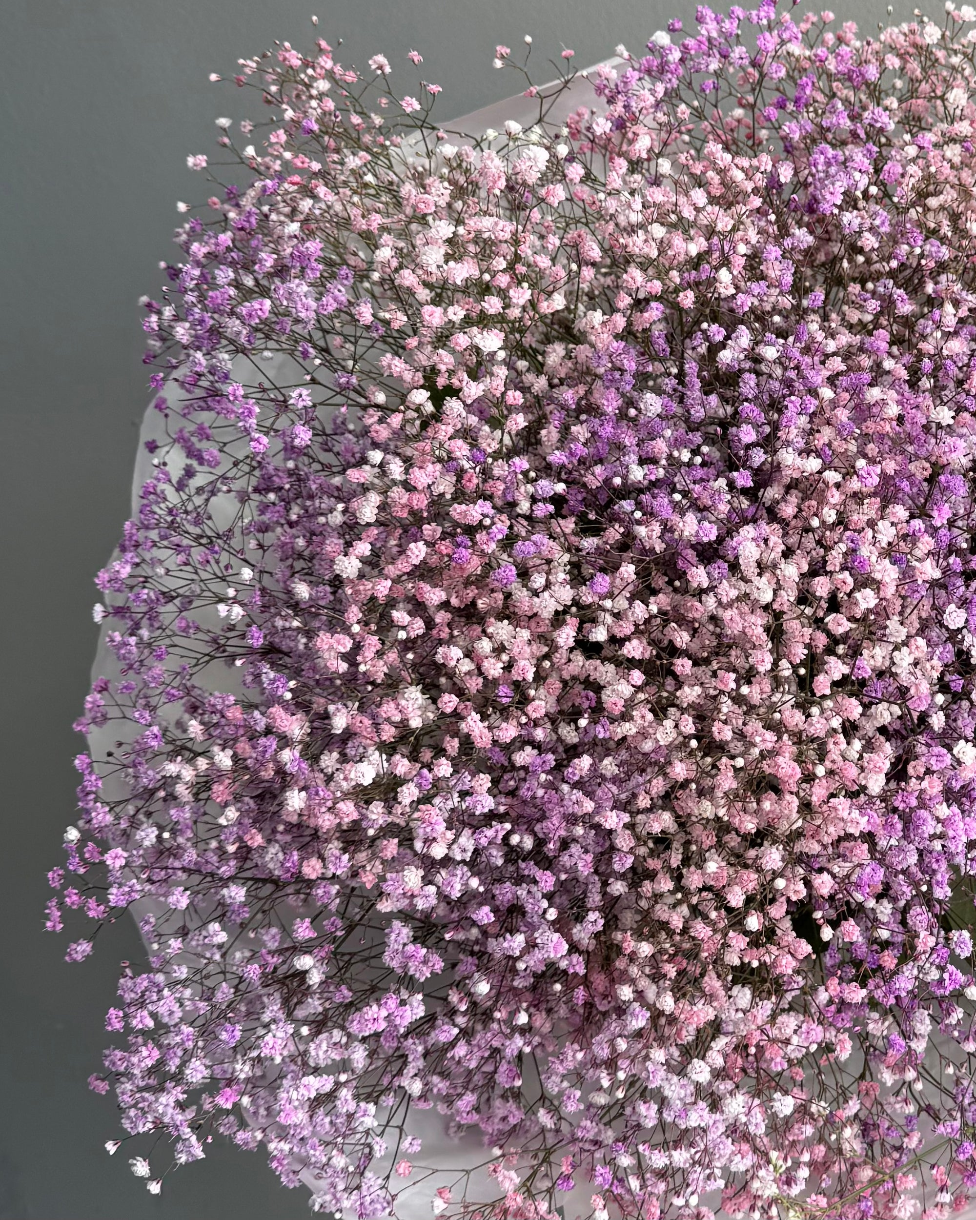 Bouquet &quot;Cotton Candy&quot; - Gypsophila