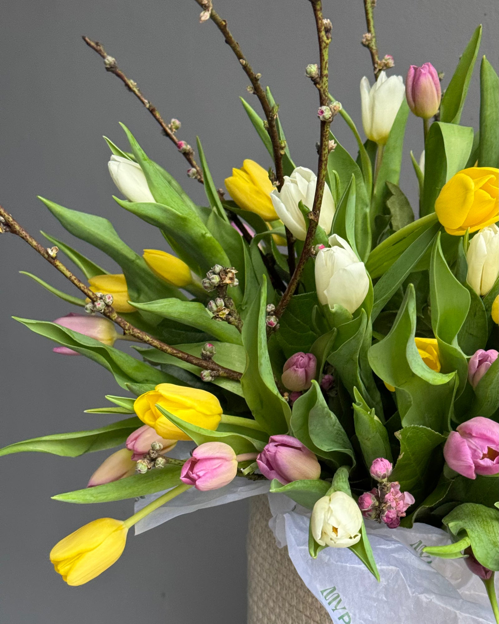 Flower Box "Hey, Gorgeous!" - Tulips, apricot blossoms