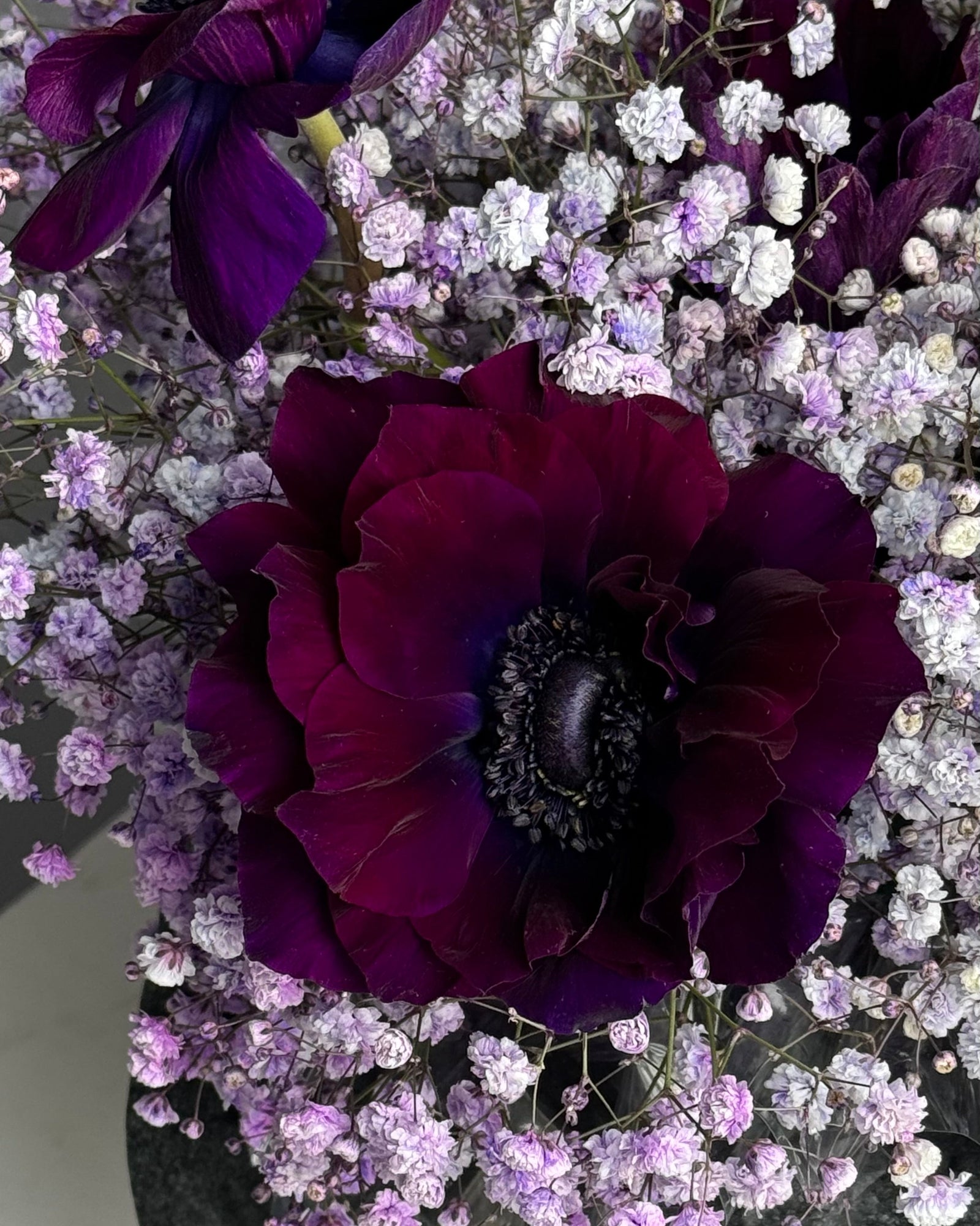 Flower Bow “Velvet Dreams Box” - anemones, baby’s breath