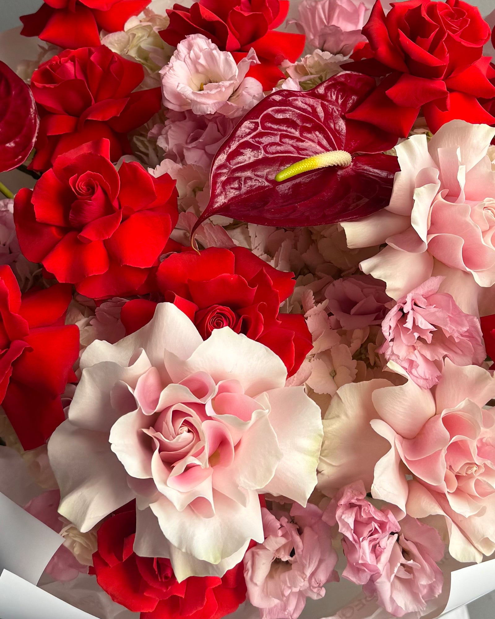 Bouquet "Heart Full, Hands Full" - French roses, anthurium, hydrangeas