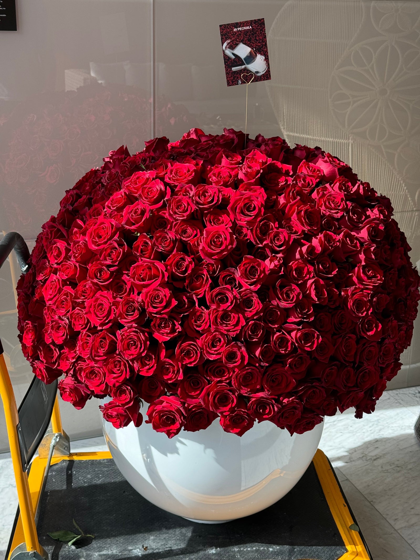 WOW-ARRANGEMENT “500 roses” - red roses in a white vase