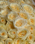 Bouquet “Candlelight” - mix of 100 garden roses