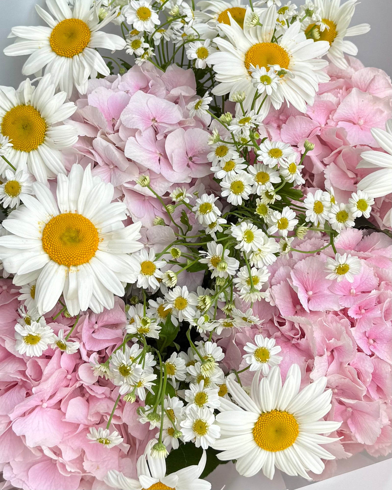 Bouquet "Daisy Me Pink" - hydrangea, daisies