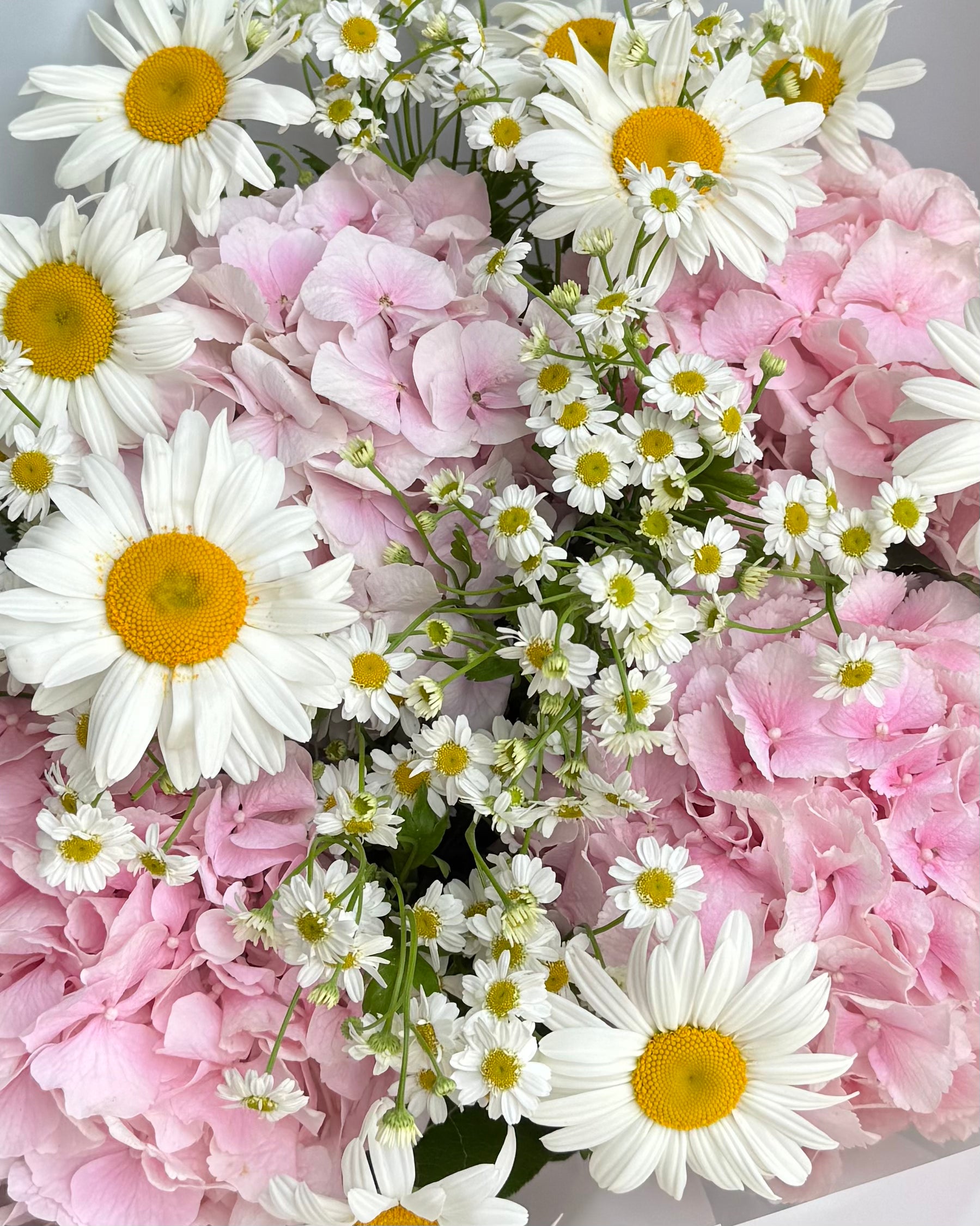Bouquet &quot;Daisy Me Pink&quot; - hydrangea, daisies