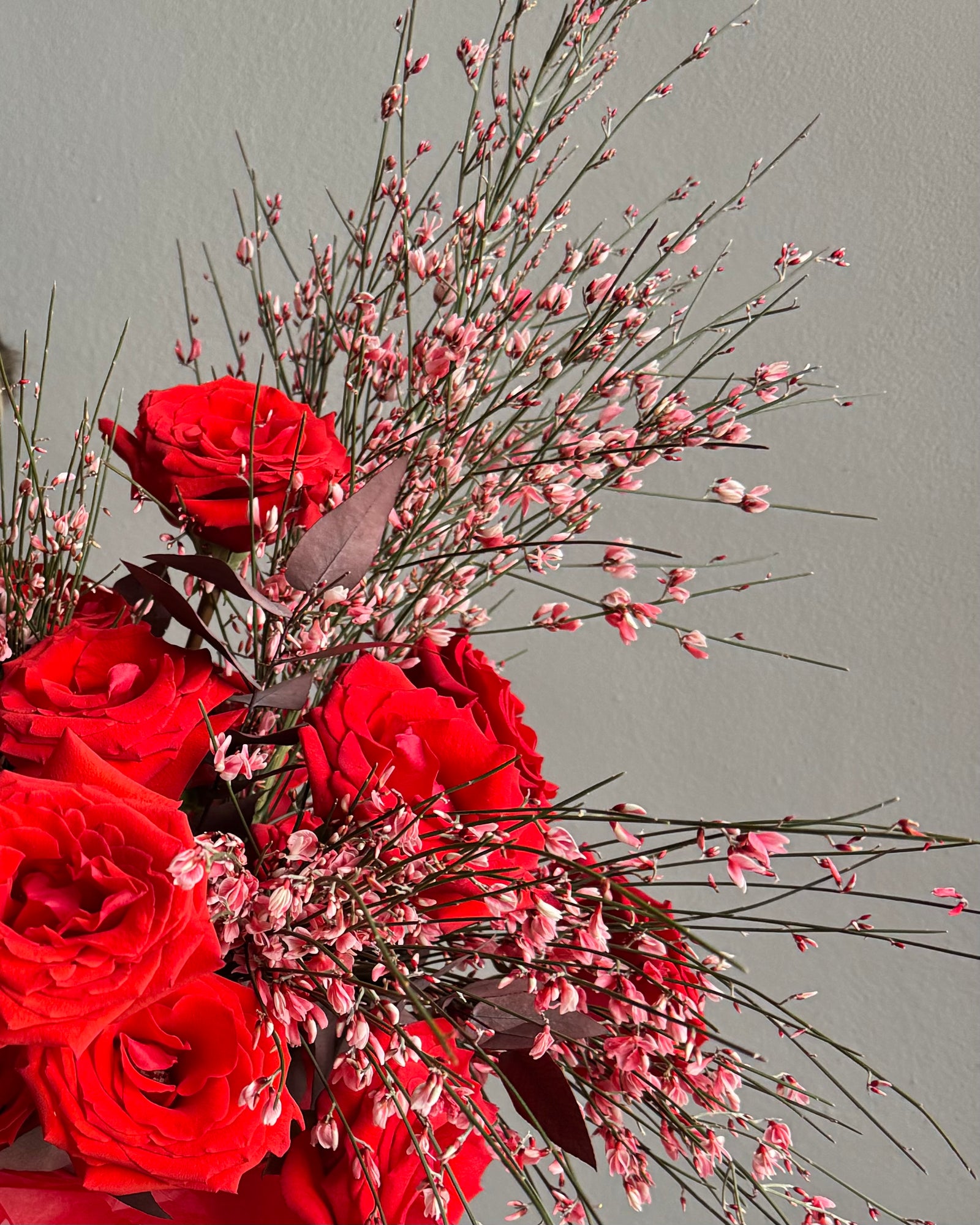 Flower Box "Wild Thing" - Roses, genista