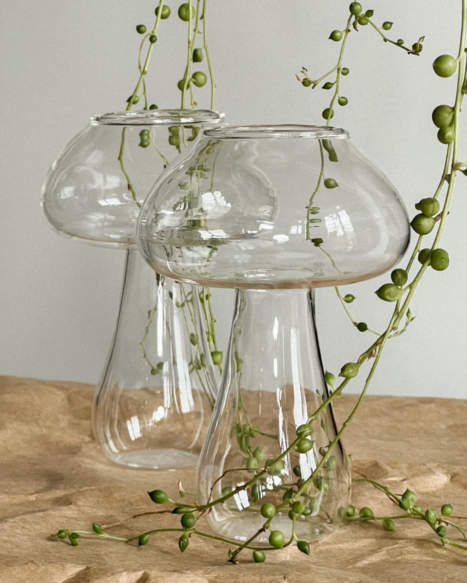 Mushélle Glasses - Set of 2