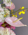 Vase Arrangement “Dear September” — roses, ranunculus, hydrangea, bird of paradise