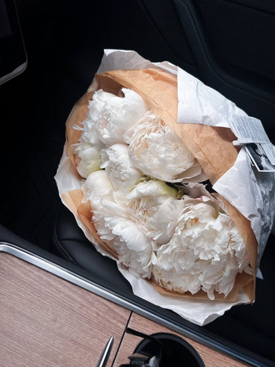 Bouquet of Peonies "Bowl of Cream" - My Peonika Flower Shop