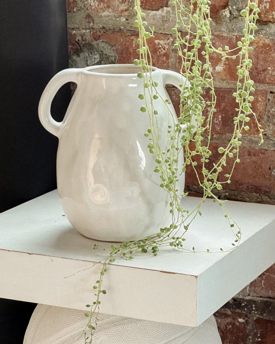 Ceramic vase with handles - My Peonika Flower Shop