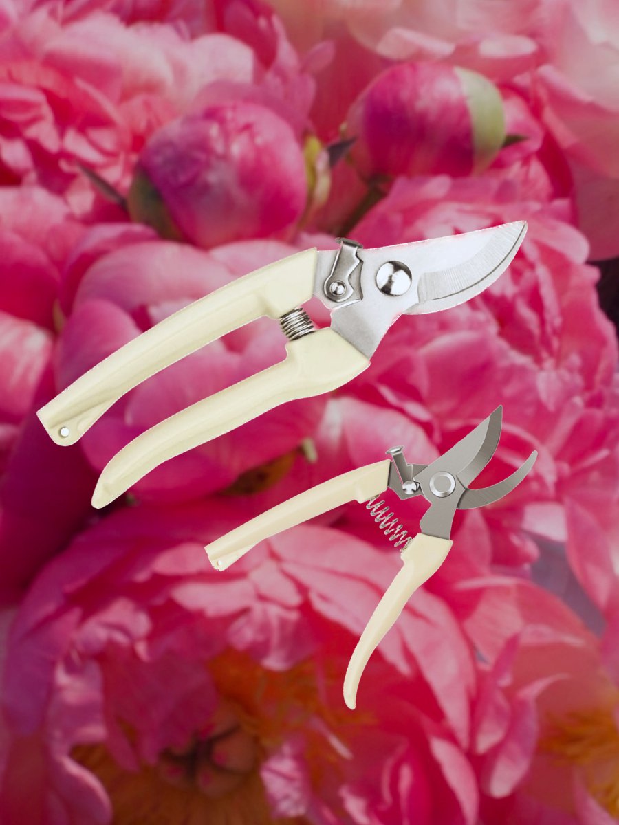 Pruner for bouquets - My Peonika Flower Shop